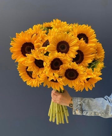 Fleurs de Saisons